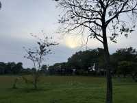 Get lost in nature’s beauty…