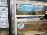Fish market in Sydney must go!