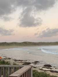Penguin Parade at Philip Island