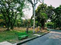 泰國曼谷市中心素坤逸區城市綠洲公園一日遊行程，親子遊行程，素坤逸繁華大道，適合打卡拍照📸親子遊