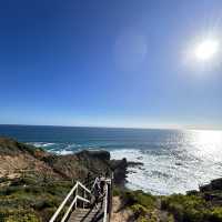 Cape Schanck - 燈塔之join 唔到tour