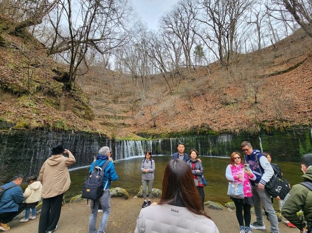 [🇯🇵軽井沢] 白糸の滝 — 自然の美を感じる静寂の空間
