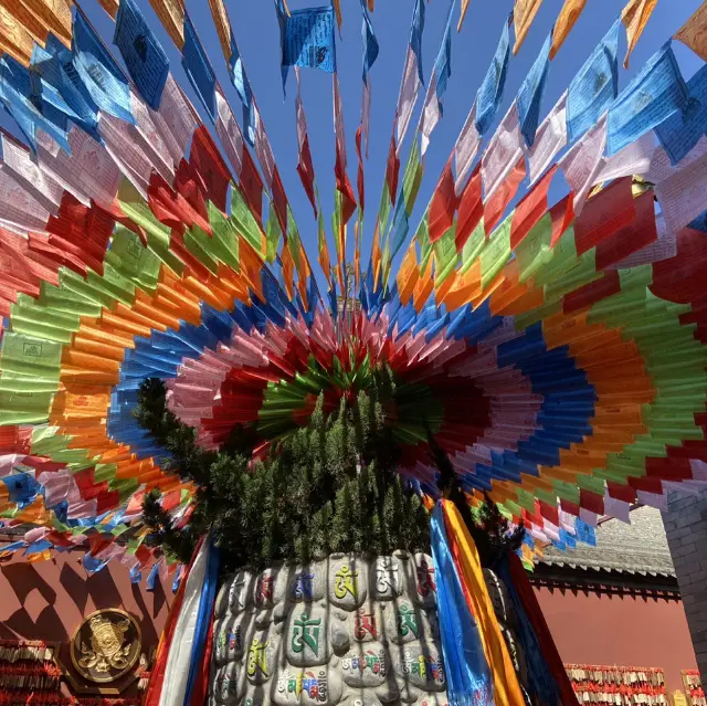 西安唯一的藏傳佛教寺院