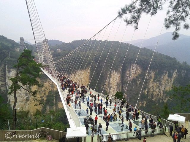 【中国】世界最長のガラスの吊橋！？「張家界大峡谷玻璃橋」