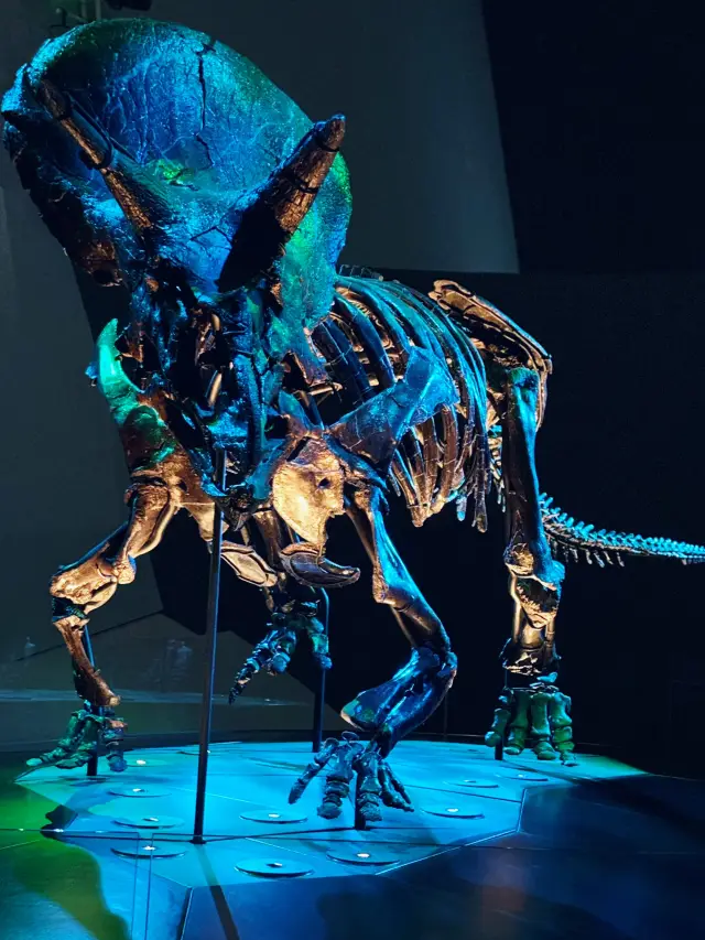 【Super Short Stroll TOUR in Melbourne Day1 】