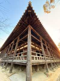 廣島｜宮島最大的木造建築 四百年未完工的千疊閣看宮島興衰繁華