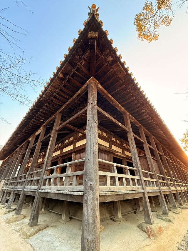 廣島｜宮島最大的木造建築 四百年未完工的千疊閣看宮島興衰繁華