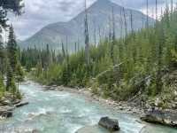 Banff National Park 🌏 🌱 