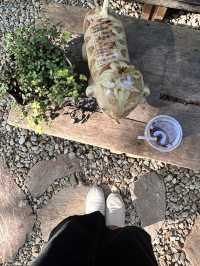 Biscuit Cafe Lampang : คาเฟ่ในแกลอรี่ เกาะคา ลำปาง