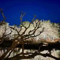 DONGGUNG PALACE | A TIMELESS JEWEL OF GYEONGJU