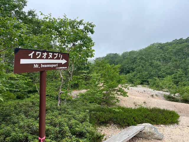 【イワオヌプリで絶景の登山体験⛰️】