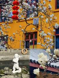 Visiting Faxi Temple: A Complete Guide to Blessings, Food & Picture-Perfect Spots