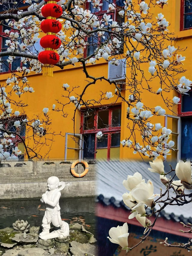 Visiting Faxi Temple: A Complete Guide to Blessings, Food & Picture-Perfect Spots