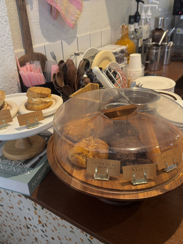부평 데이트 맛집, 부평 분좋카 추천