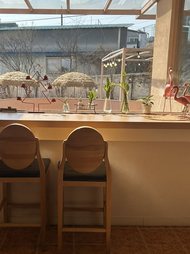 이국적인 대형 카페, 🤍 청주 고속 터미널 근처, 사하라🐪