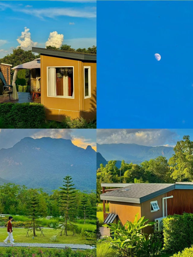 ไปนอนที่พักวิวดอยหลวงเชียวดาวด้วยกันมั้ย⛰️🌷🫶🏻
