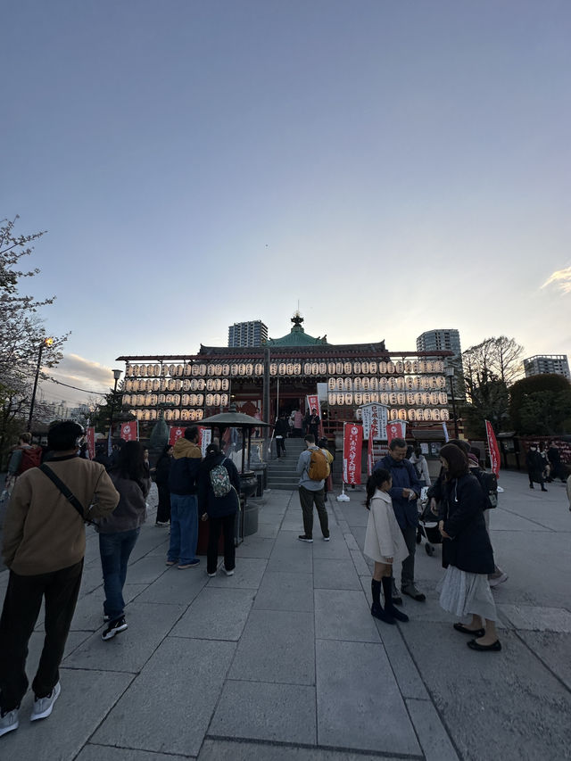 日本百大賞櫻勝地🌸東京上野恩𧶽公園🌸