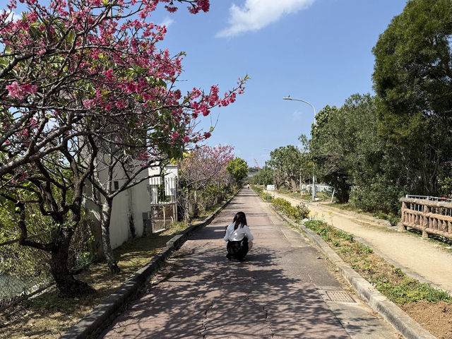 漫湖公園（那霸市）
