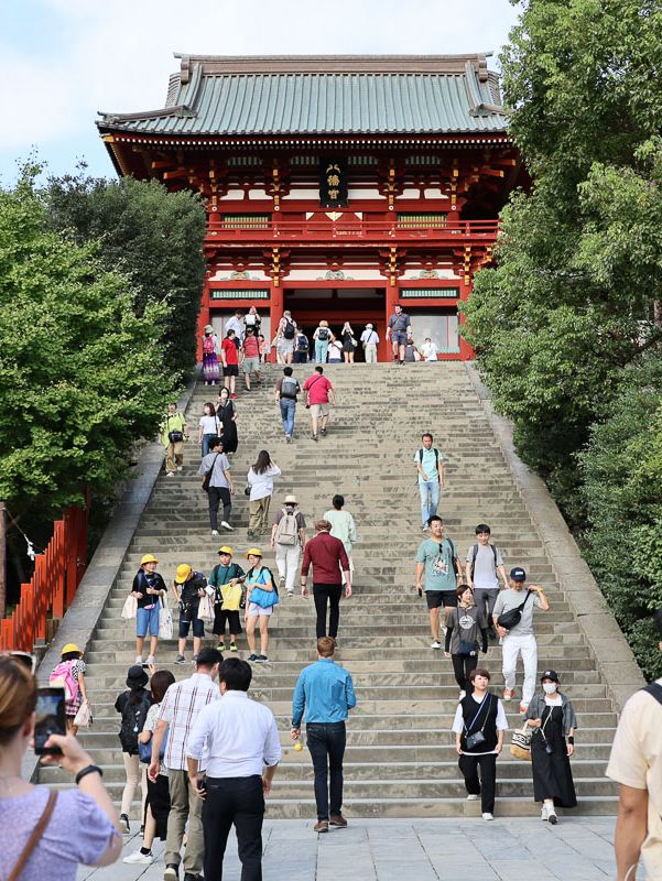 鶴岡八幡宮で感じる鎌倉の歴史と神聖な空気⛩️