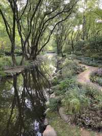 Gongqing Forest Park 🌳| Half-Day Flower Viewing Route Guide