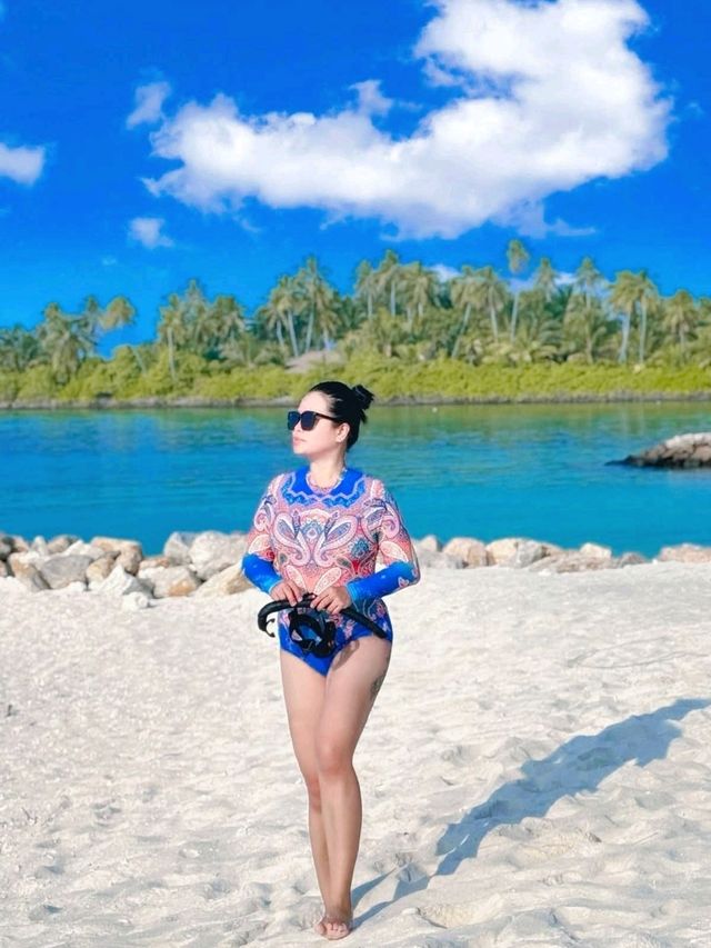 Paradise 