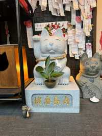 長崎眼鏡橋找愛心石❤️捲尾貓神社找貓神