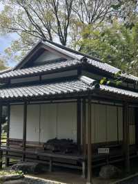 日本四國