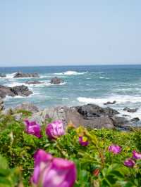 【青森×種差海岸】芝生が美しい海岸