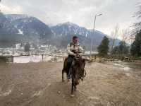 Magical Kashmir in Winter