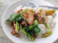 ผานาน้อย - จุดชมวิวเลียบหน้าผาภูกระดึง