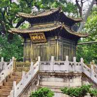 KUNMING | GOLDEN TEMPLE PARK