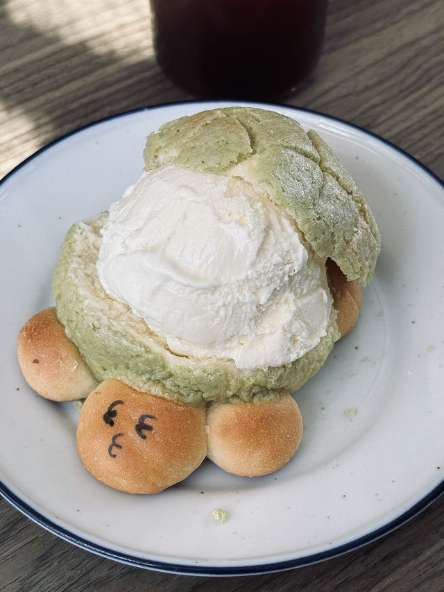 釜山｜田浦洞人氣爆棚麵包店 這顆烏龜太犯規 烏龜🐢太可愛