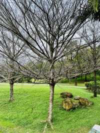 “Taman Wawasan: Where Nature Leads the Way”