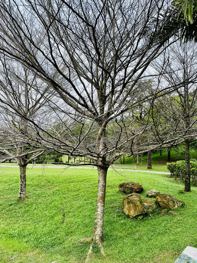 “Taman Wawasan: Where Nature Leads the Way”