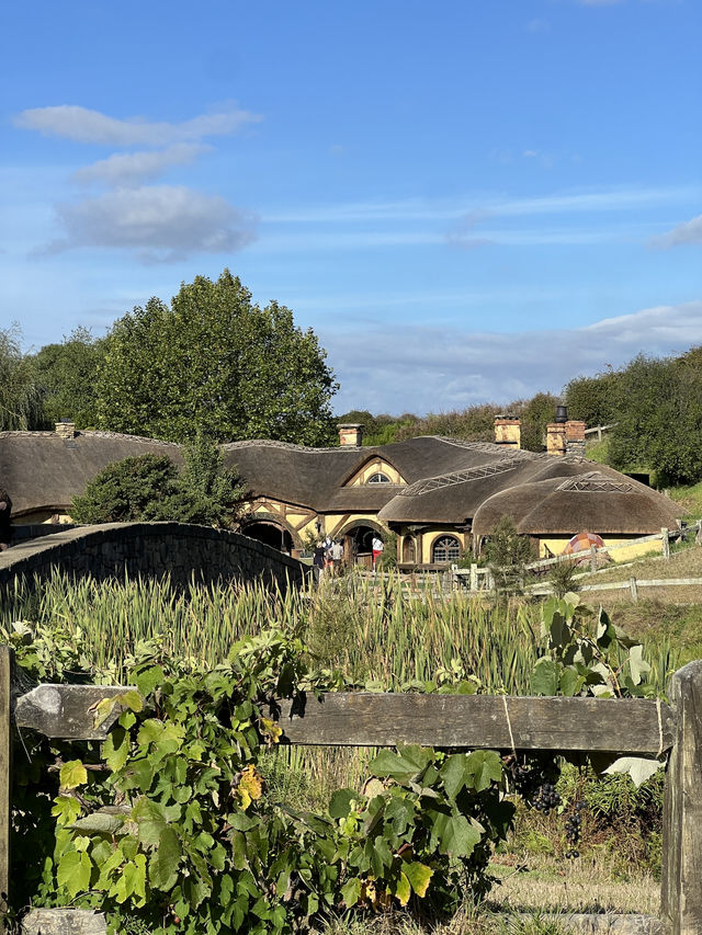 Step Into the Shire: Explore the Magic of Hobbiton