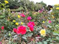 Yuntai Garden 