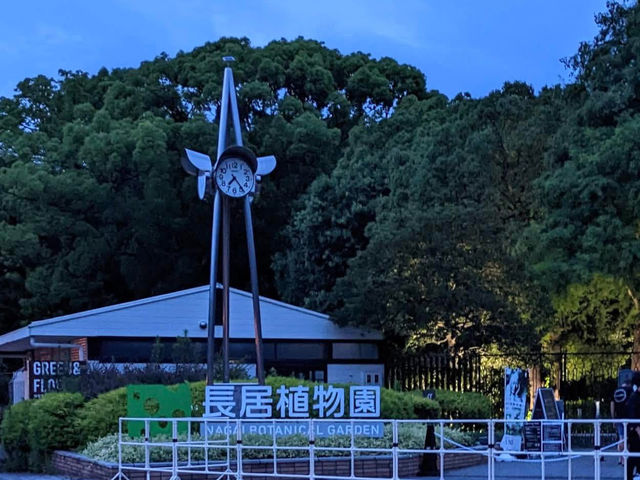 大阪長居植物園💕燈光秀✨夢幻世界