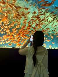 아시아 최대 규모 아쿠아리움 🐟