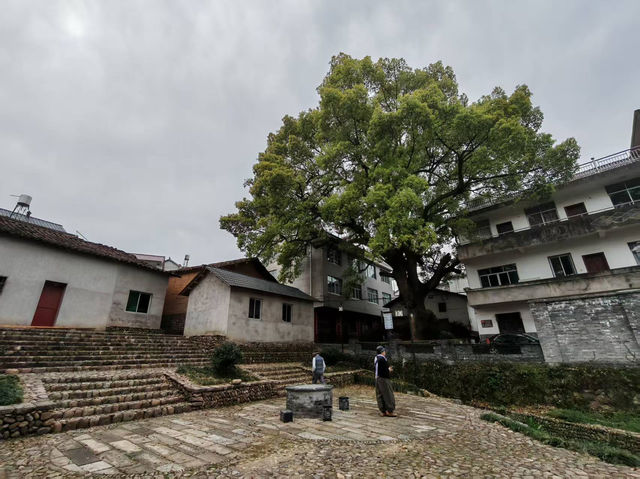風，吹到了廣渡
