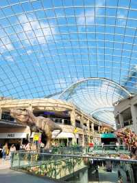 more than just a shopping center, it's a vibrant hub in the heart of city
