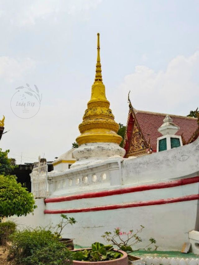 💞 วัดป่าโมกวรวิหาร