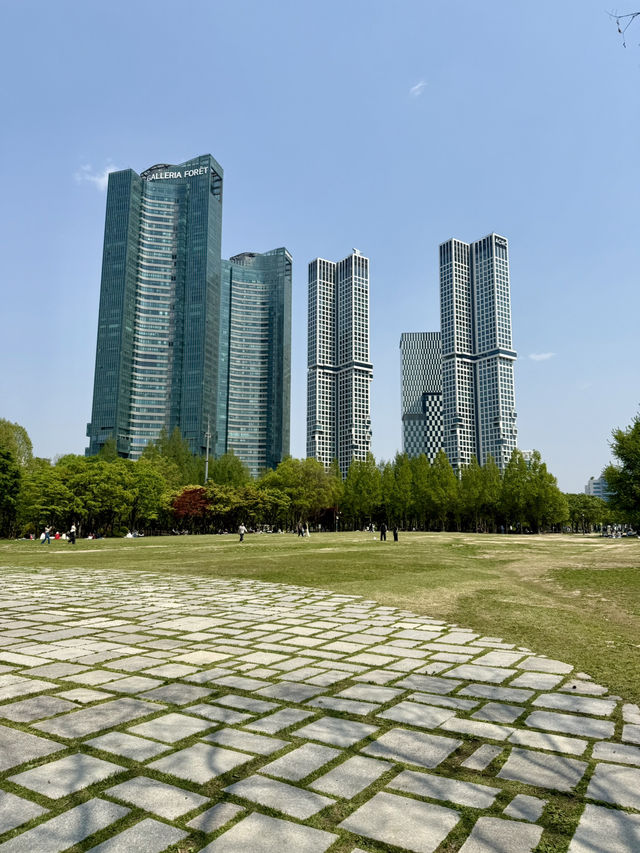 Tulip Time in Seoul Forest Park