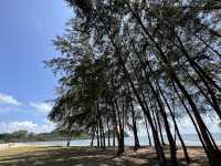 Gerbang Laut Pulau Mawar: Where the Ocean Paints on Giant Canvases" 🌊🎨