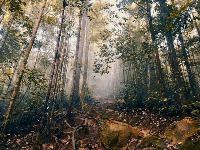 Gunung Lambak: The Mini Mountain That Will Wreck Your Legs (But Feed Your Soul)🏔️😅
