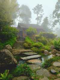A Misty Escape – Japanese Village at Colmar Tropicale
