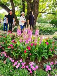 WHEN CHERRY BLOSSOMS FALL, NEW WONDERS BLOOM