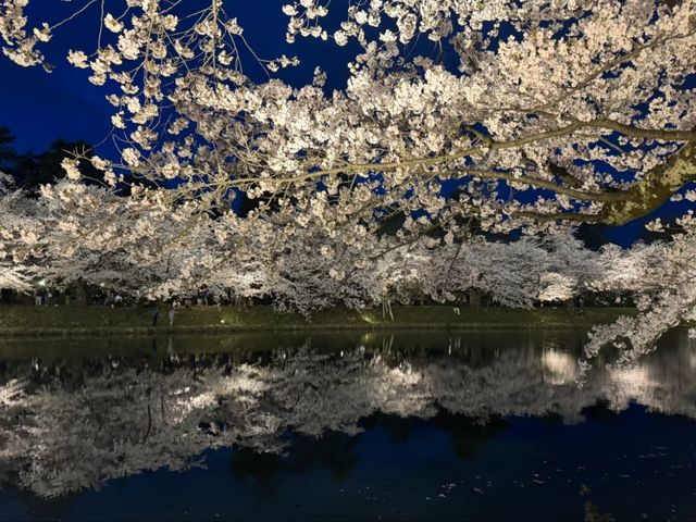 Petals and Palaces: The Magic of Hirosaki’s Cherry Blossoms