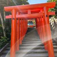 １度は行きたい、海際神宮