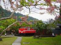 阿里山國家風景區-管理處暨觸口遊客中心
