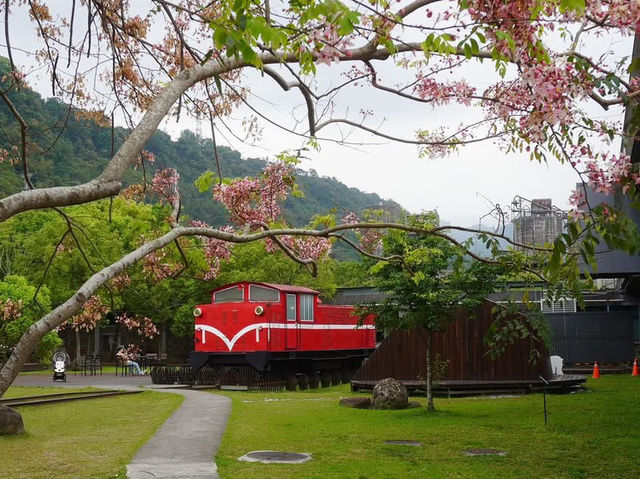 阿里山國家風景區-管理處暨觸口遊客中心